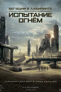 Бегущий в лабиринте: Испытание огнем